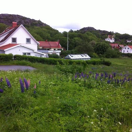 Noesund Bed & Breakfast Bed & Breakfast Eksteriør bilde